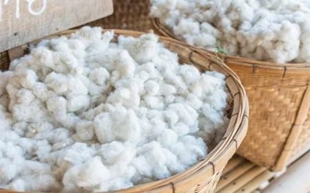 GOTS coton bio